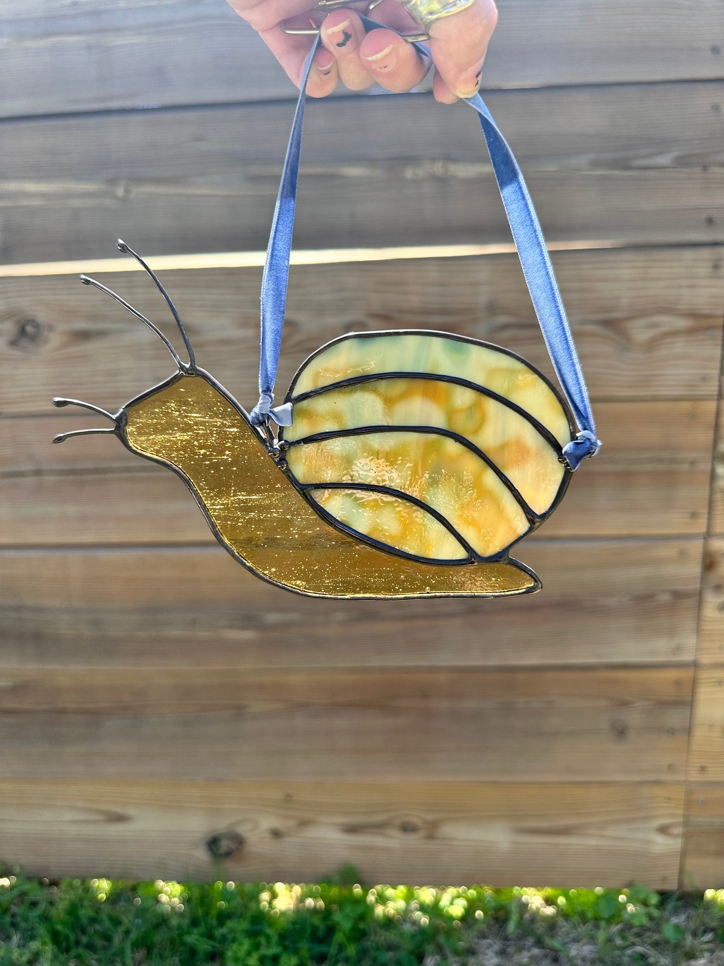 snail