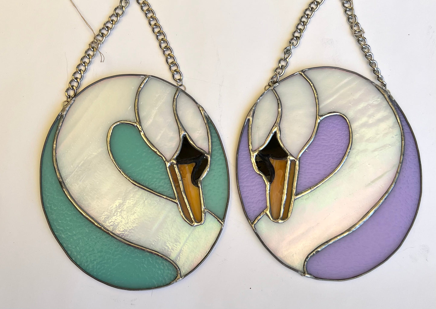 Gay Swans