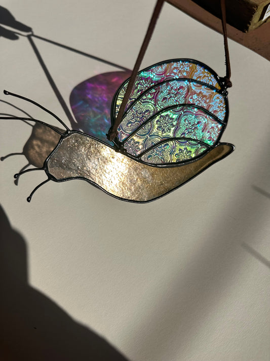 disco snail