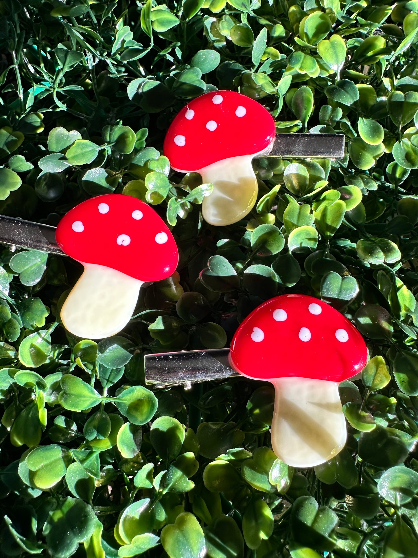 Mushroom Clips