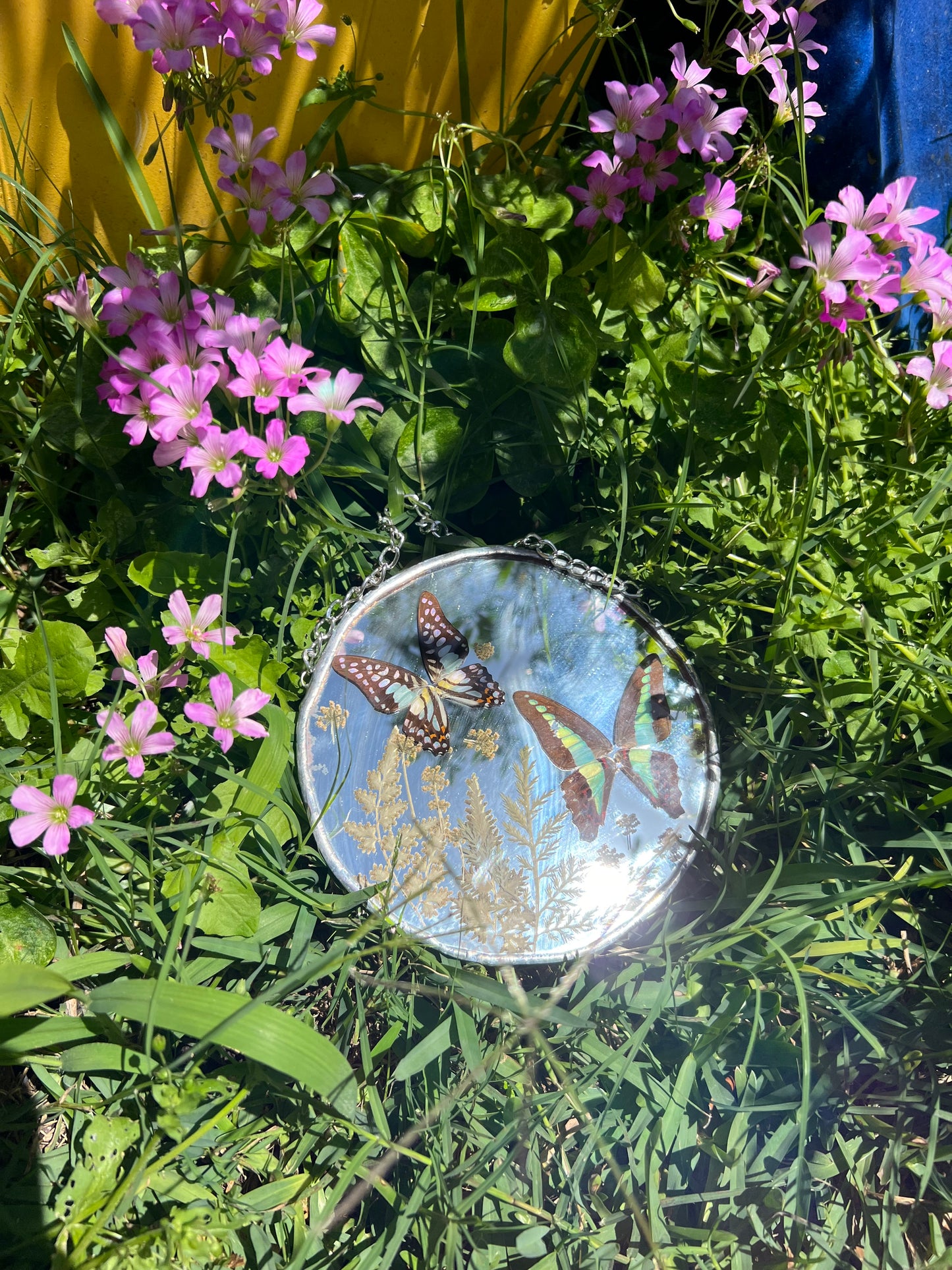 Butterfly Mirror