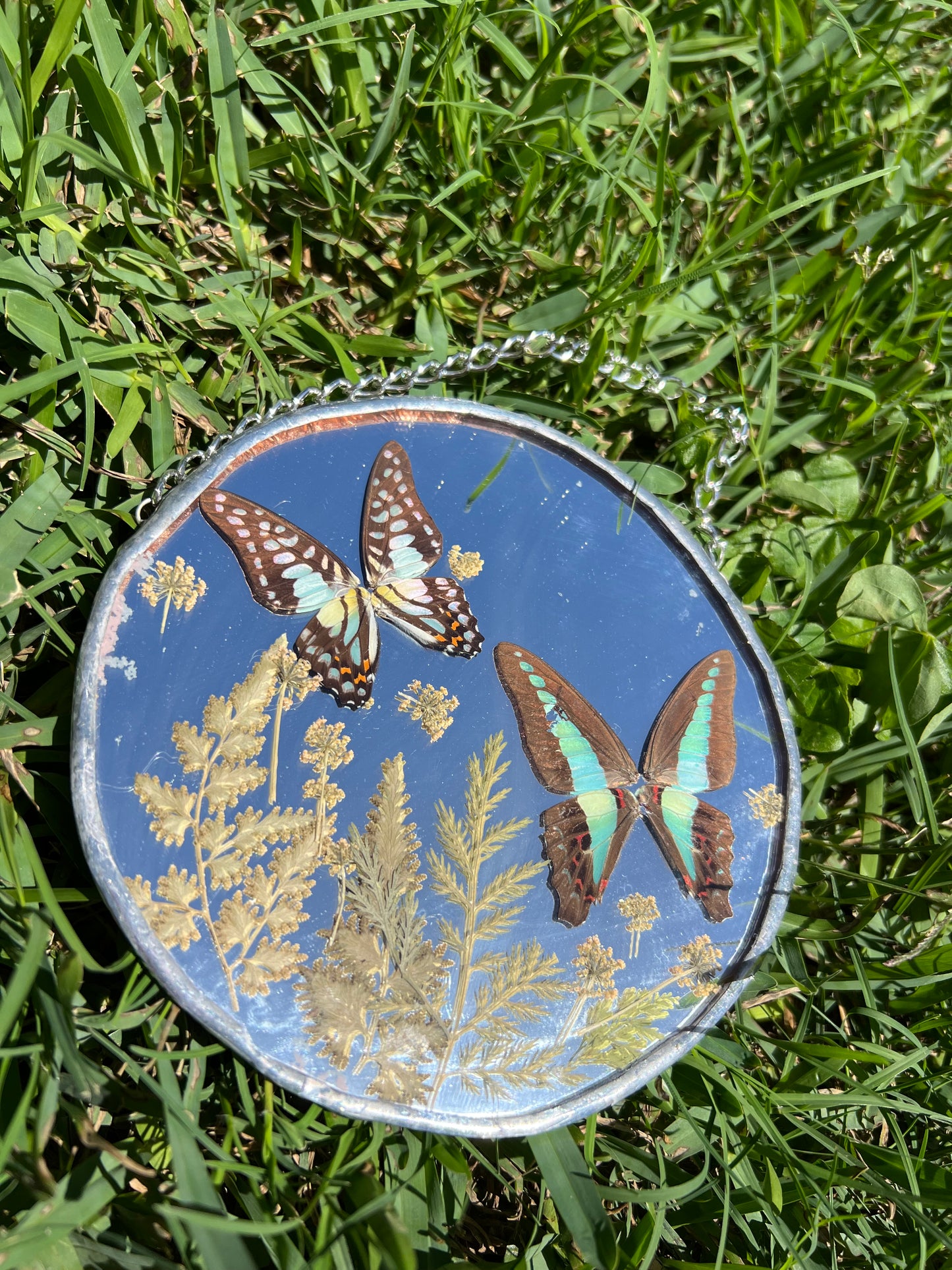 Butterfly Mirror