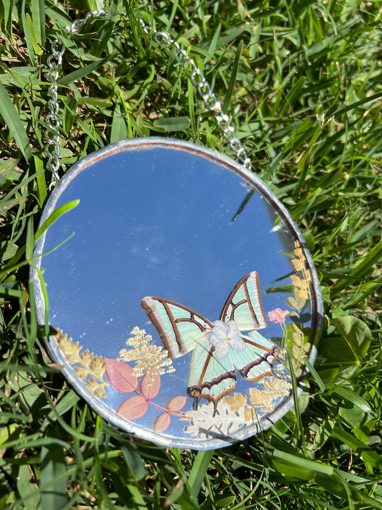 Butterfly Mirror