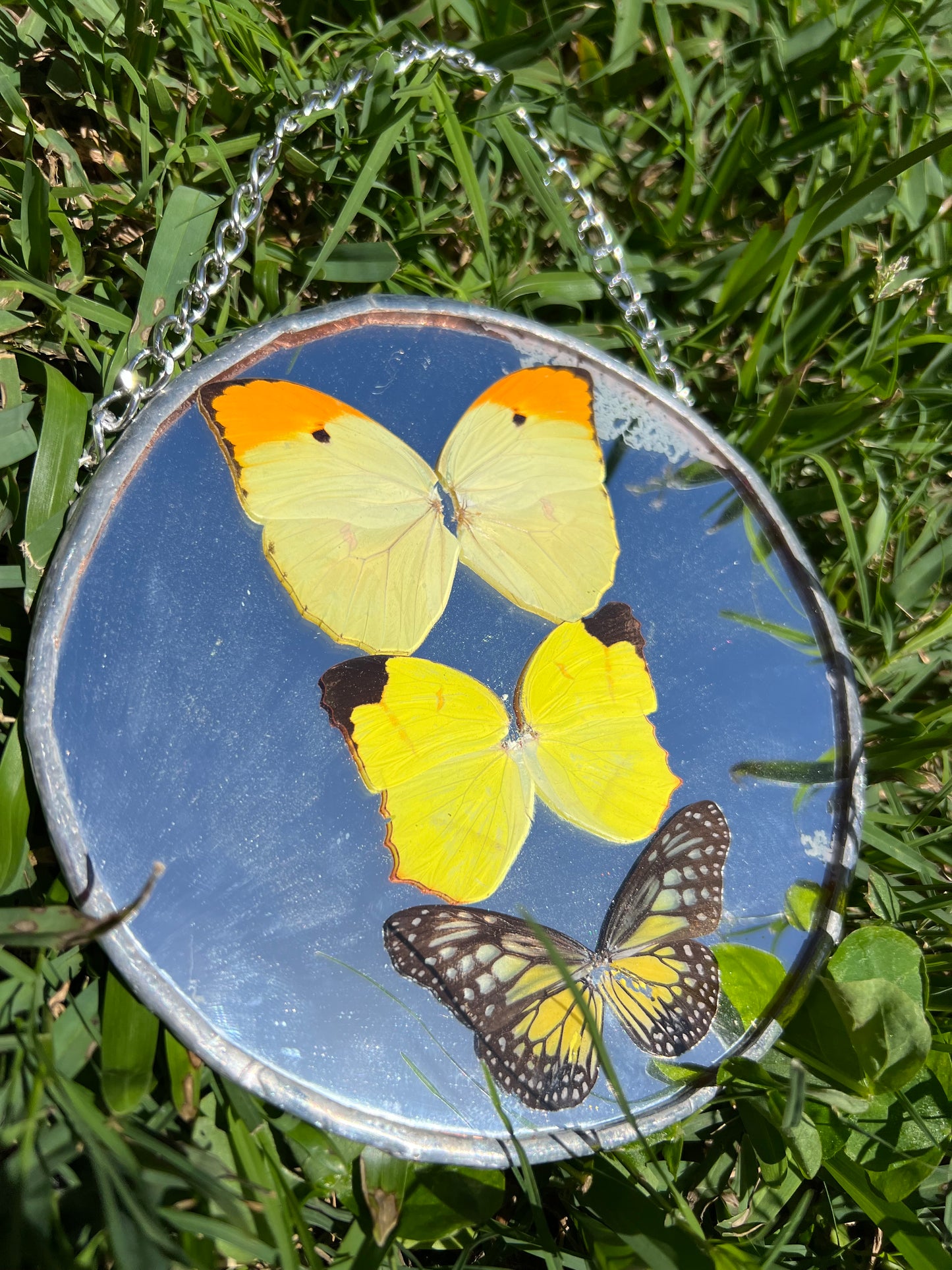 Butterfly Mirror