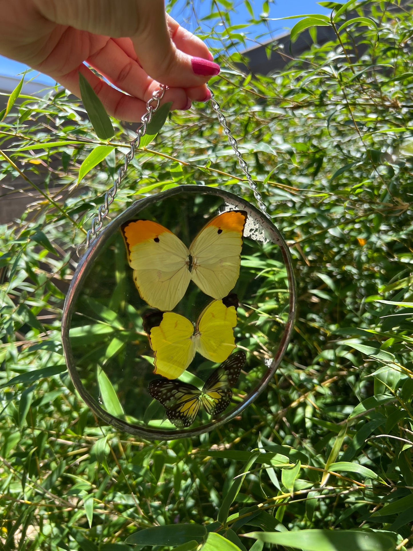 Butterfly Mirror